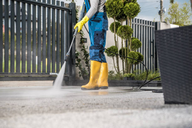 Animal Enclosure Cleaning in Montrose, PA